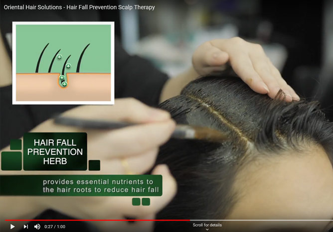 Hair Fall Prevention Scalp Therapy