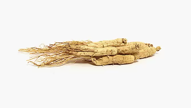 Best Herbs for Hair Growth - Ginseng